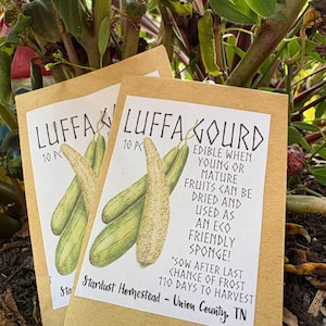 Organic Luffa Gourd Seeds – 10+ Non-GMO Seeds