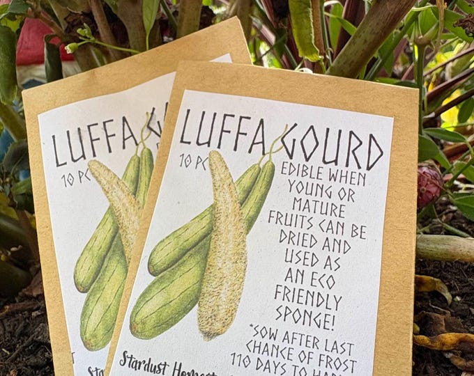 Organic Luffa Gourd Seeds – 10+ Non-GMO Seeds
