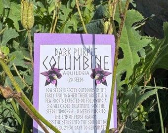 May include: A packet of Dark Purple Columbine seeds, Aquilegia, with 20 seeds, is displayed among green foliage. The packet has a purple border and features a flower illustration. The text on the packet provides sowing instructions.