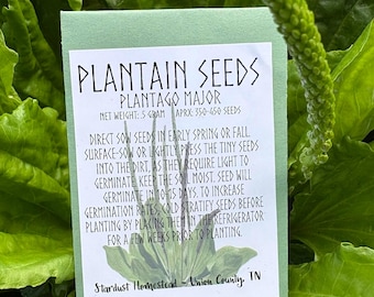 May include: A packet of plantain seeds, Plantago Major, with a net weight of 5 grams and approximately 350-450 seeds. The light green packet is set against a backdrop of lush green leaves. Instructions are printed on the packet.