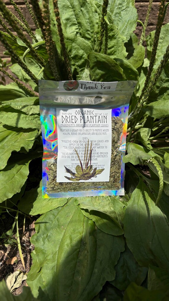 Organic Dried Plantain