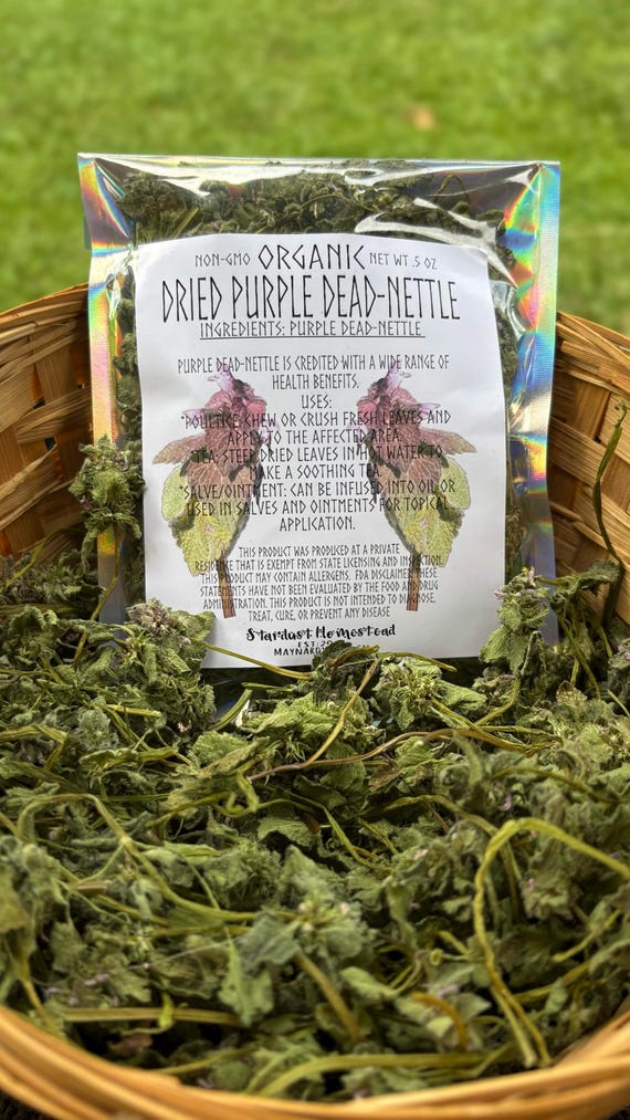Organic Dried Purple Dead-Nettle | Hand Harvested Herbal Botanical