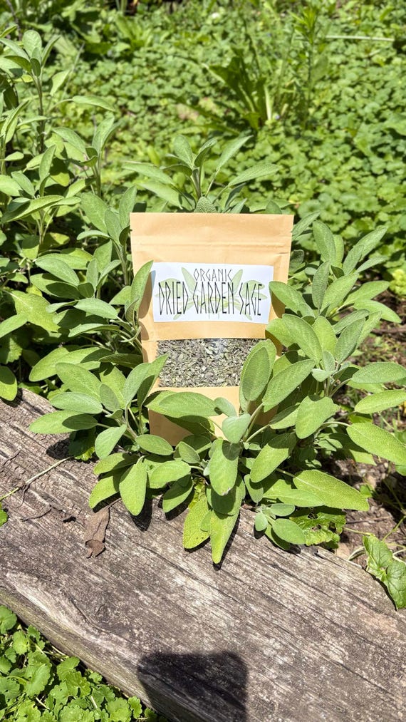 Organic Dried Garden Sage