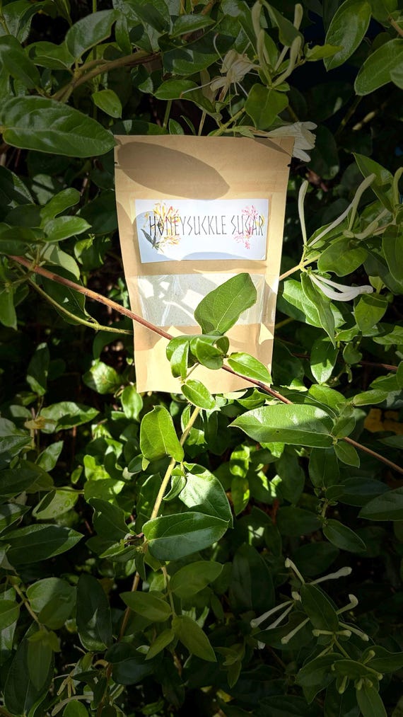 Organic  Honeysuckle Blossom Sugar | Hearthfire Collection