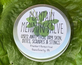 Plantain Mending Salve | 1oz