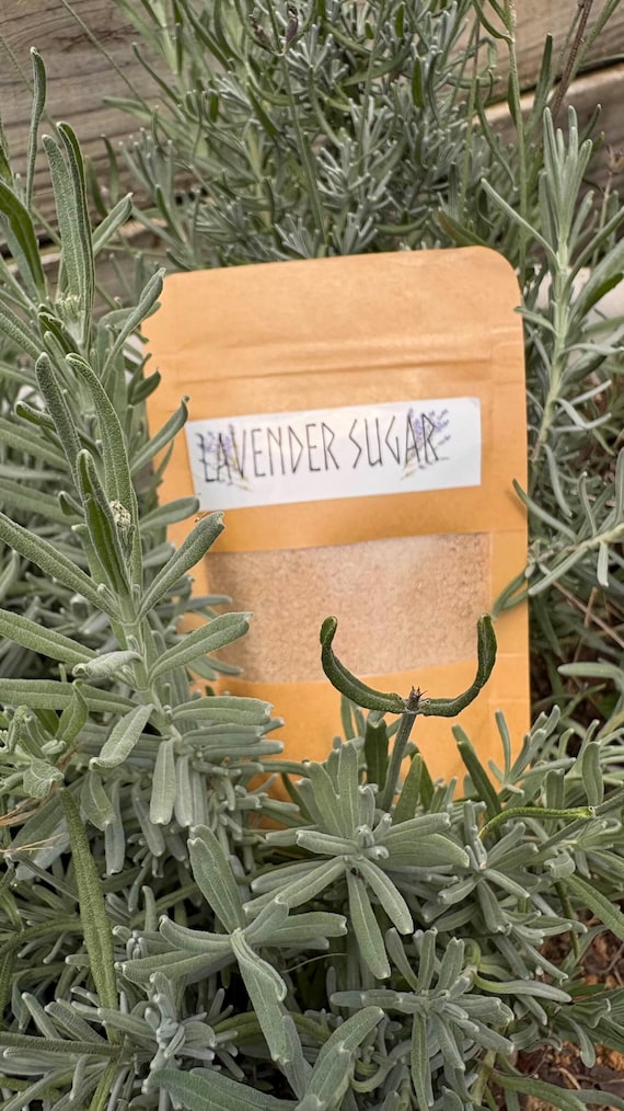 Organic Infused Lavender Sugar
