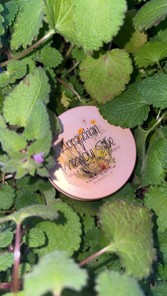 Appalachian Meadow Salve - 3oz - Plantain*Dandelion*Yarrow*Goldenrod