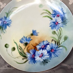May include: A vintage porcelain plate with a hand-painted design of blue cornflowers on a white background. The flowers are arranged in a circular pattern around the center of the plate.