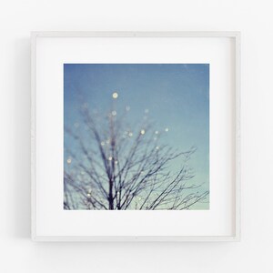 Winter tree art bare branches wall art photograph