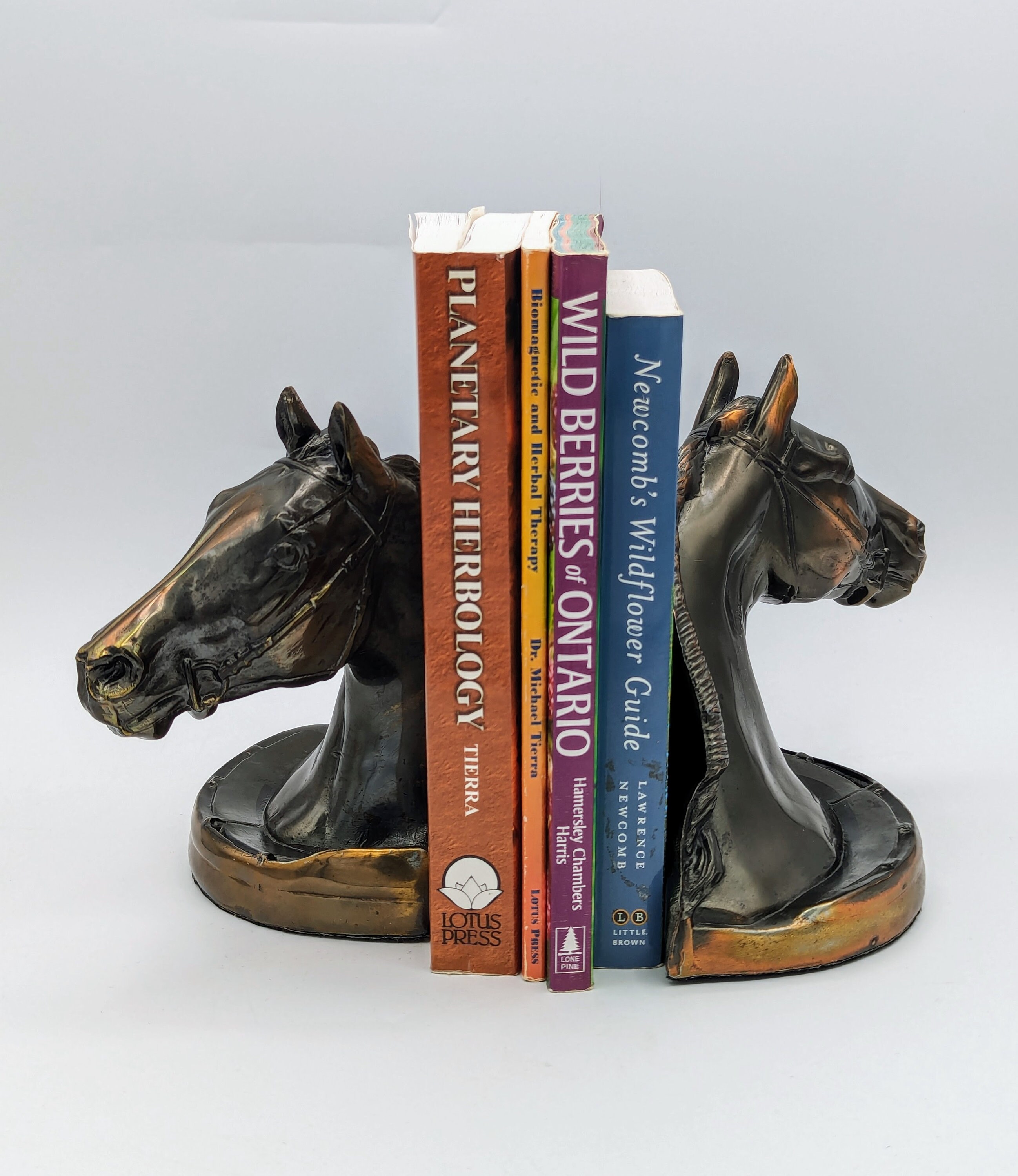 Book Ends- Vintage Bronze Lone Horse Book Ends- Vintage Bronze Lone Horse