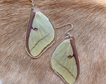 Luna Moth Wing Earrings, Natural History, Nature Lover, Entomology, Taxidermy Art, Real Insect, Butterfly Jewelry, Cottage Core, Goblin