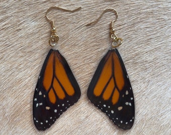 LAMINATED Monarch Wings, Real Butterfly Jewelry, Cottage Core, Nature Earrings, Natural History Specimen, Insect Art, Nature Lover