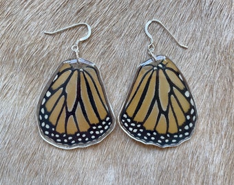 Real Monarch Butterfly Wings, Resin Butterfly Earrings, Sterling Silver Butterfly Earrings, Nature Inspired, Taxidermy Art, Biology Gifts