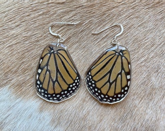 Real Monarch Butterfly Wing Earrings, Resin Butterfly Jewelry, Real Insect Art, Entomology Gift, Taxidermy Display, Natural History