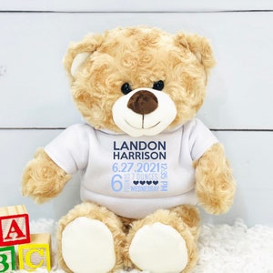 personalized stuffed animal, stuffed animal birth stats, baby shower gift, newborn gift, new baby gift, birth stats, baby gift, birth stats