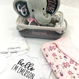 May include: A baby gift set featuring a gray plush elephant in a basket, a white onesie with "hello I'm Emerson" text, a white hat, and a pink floral blanket. The elephant has pink accents and the basket is embroidered with "Emerson".