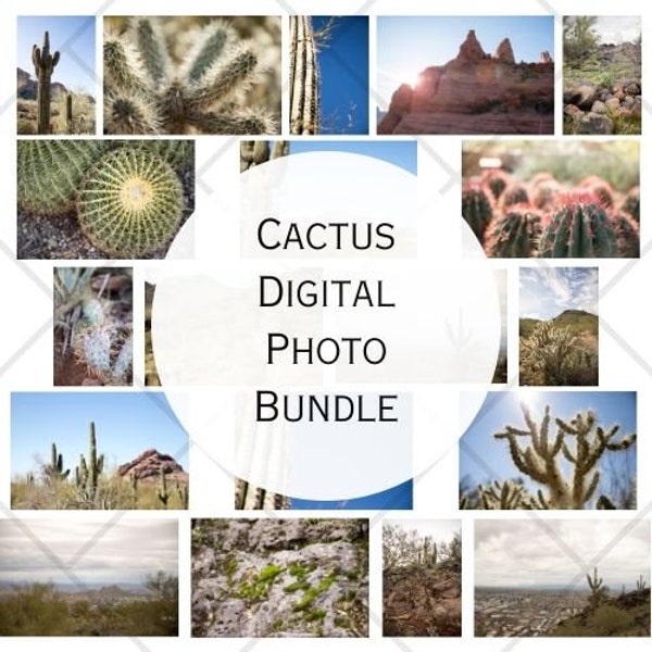 Cactus Stock Photo Bundle, Digital download, Digital image, Arizona Cactus landscape photos