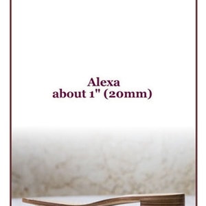 May include: A wooden shoe sole, about 1 inch (20mm) thick, for making custom shoes.  Alexa is written on the sole.