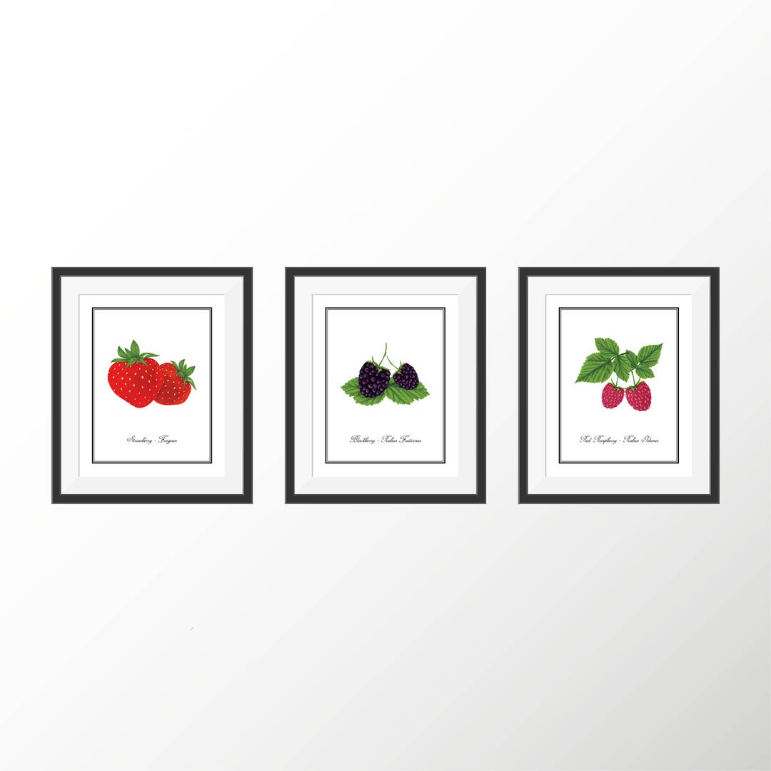 kitchen wall decor art prints - botanical prints -... Botanical Art Prints Set Kitchen Decor Art Prints Kitchen Wall Art ...