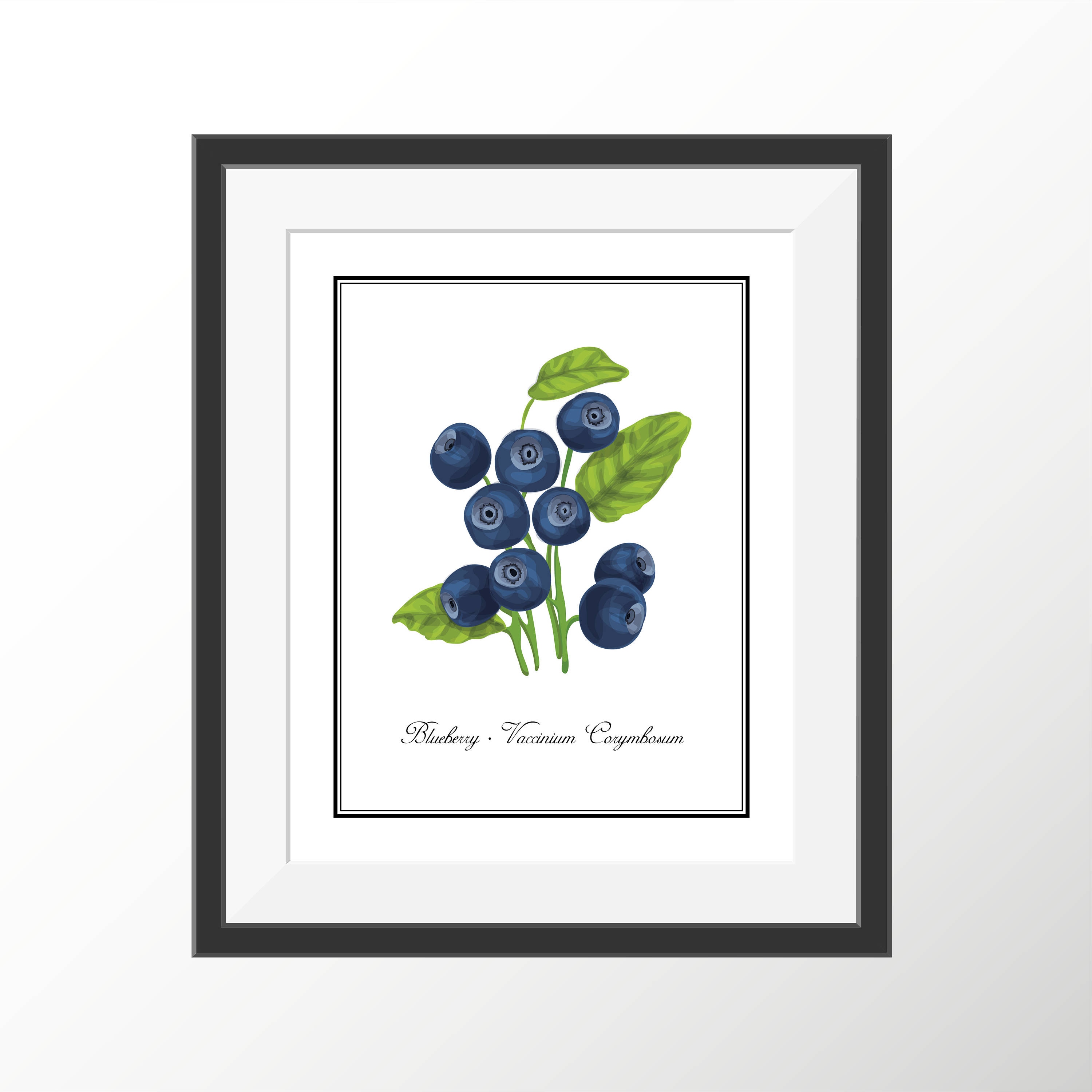Blueberry Blueberries Kitchen Decor Kitchen Art Kitchen Prints