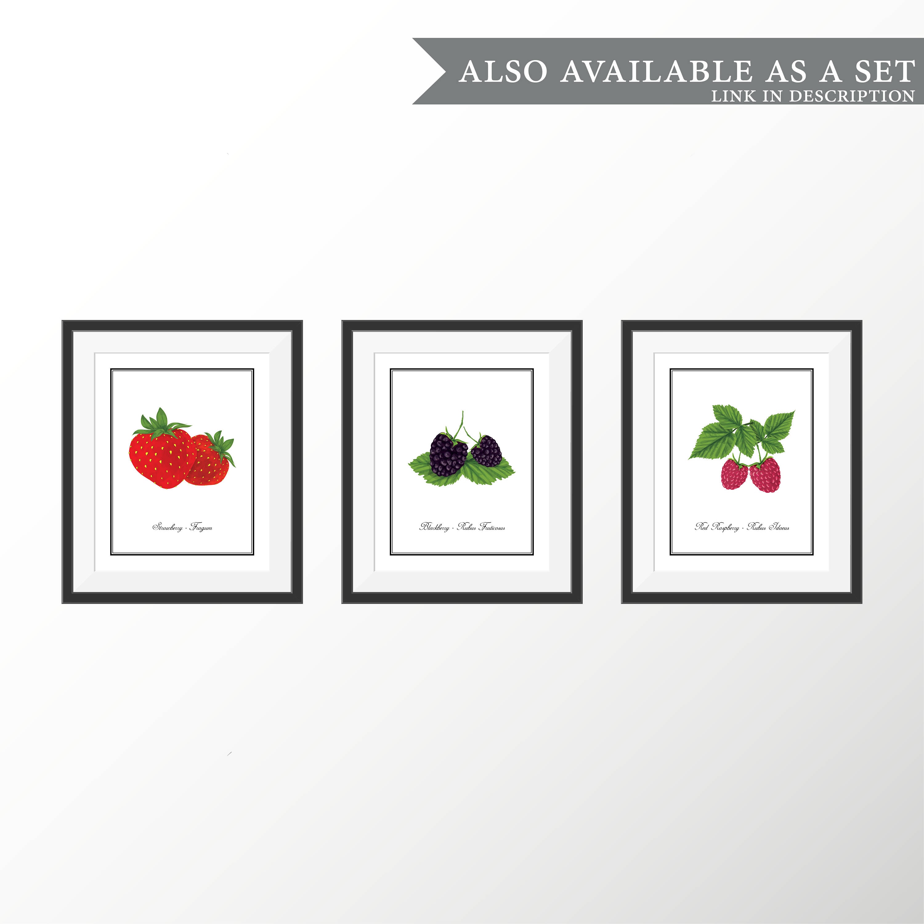Botanical Prints Art Set Kitchen Art Prints Decor Kitchen Wall Etsy