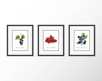 Botanical Prints Art Set Kitchen Art Prints Decor Kitchen Wall Decor Art Garden Art Fruit Plant Art Housewarming Gift