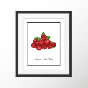 Red Currants Botanical Art Prints Garden Art Kitchen Art Prints Decor Fruit Plant Art Kitchen Wall Art Decor