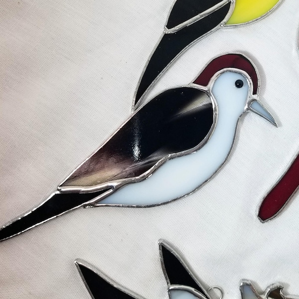 New Woodpecker!!  Stained Glass Kit. Perfect for beginners. Ready for foil, mosaics or lead. Make as a suncatcher or build a panel around it