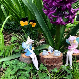 Fairies