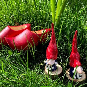 gnomes image 1