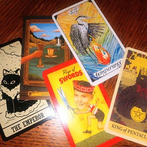 May include: A spread of tarot cards featuring a black cat with a crown, a blue heron, a boy with scissors, and a black cat with a crown and a pentagram.