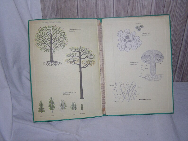 junk journal 3 x Hardcover book covers for journaling ephemera