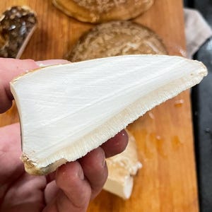 30 g de polypore de bouleau premium fraîchement séché de la forêt baltique d&#39;Ustka, coupé à la main en tranches.