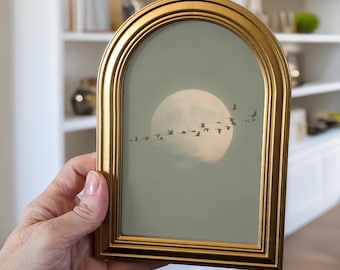 Gold Arched Frame Art Print: Moonlit Birds, Sage Green Decor