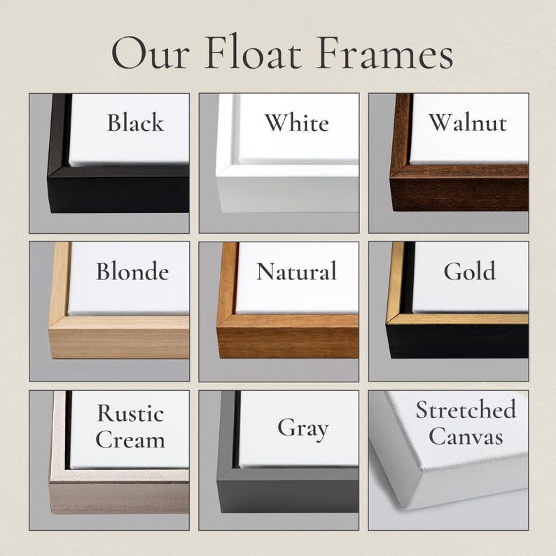 a collection of nine different colored and framed picture frames, each with a unique design and color.