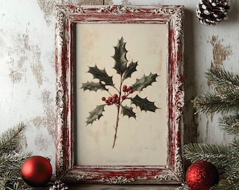 May include: A vintage red frame with white distressed paint surrounds a botanical illustration of a holly sprig with red berries. The frame is on a whitewashed wood background with pine branches and red ornaments.