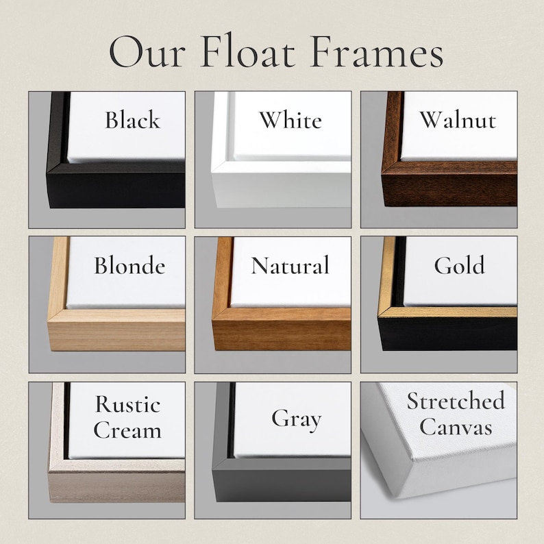a collection of nine different colored and framed picture frames, each with a unique design and color.
