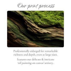 Moss and Olive Wood Canvas Wall Art: Unique Botanical Decor image 3