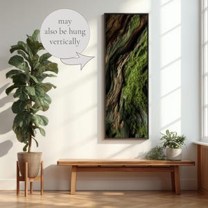 Moss and Olive Wood Canvas Wall Art: Unique Botanical Decor image 2