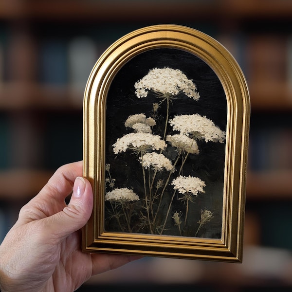 Small Gold Arched Frame Queen Anne's Lace Dark Floral Art: Moody Botanical Decor