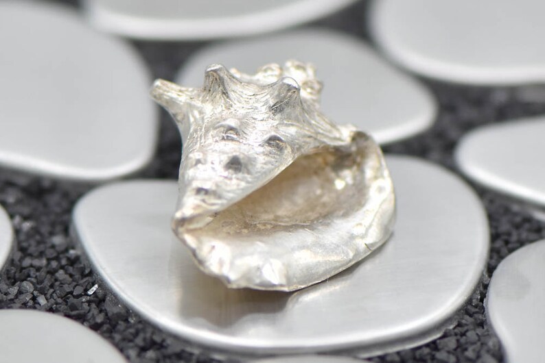 Sterling Silver Shell Charm