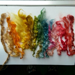 May include: A collection of colorful, curly wool fibers arranged in a rainbow spectrum. The colors range from light brown to vibrant shades of orange, yellow, green, blue, pink, and red. The fibers are soft and textured, ideal for crafting and textile projects.