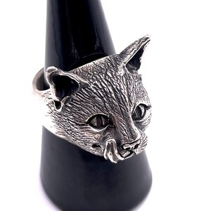 Gatto Anello immagine 8