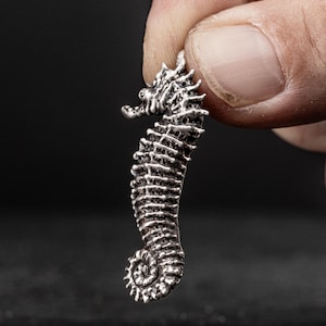 Seahorse