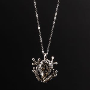 Frog image 4