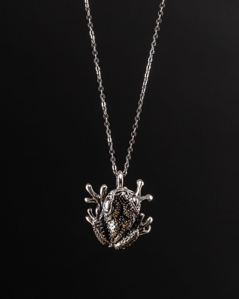 Frog image 4