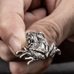 May include: A silver frog figurine with a detailed textured surface. The frog is sitting on its hind legs with its front legs outstretched.