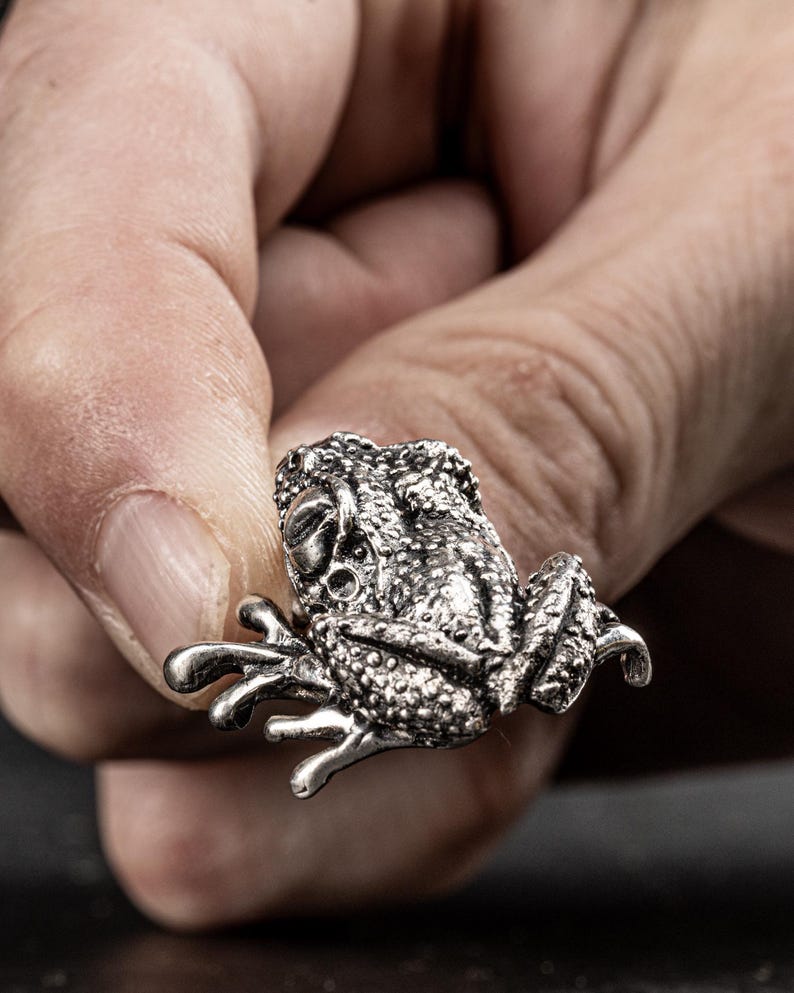 May include: A silver frog figurine with a detailed textured surface. The frog is sitting on its hind legs with its front legs outstretched.