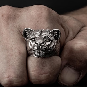 Lioness