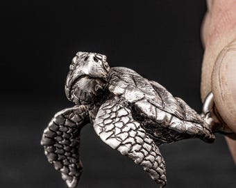 Turtle